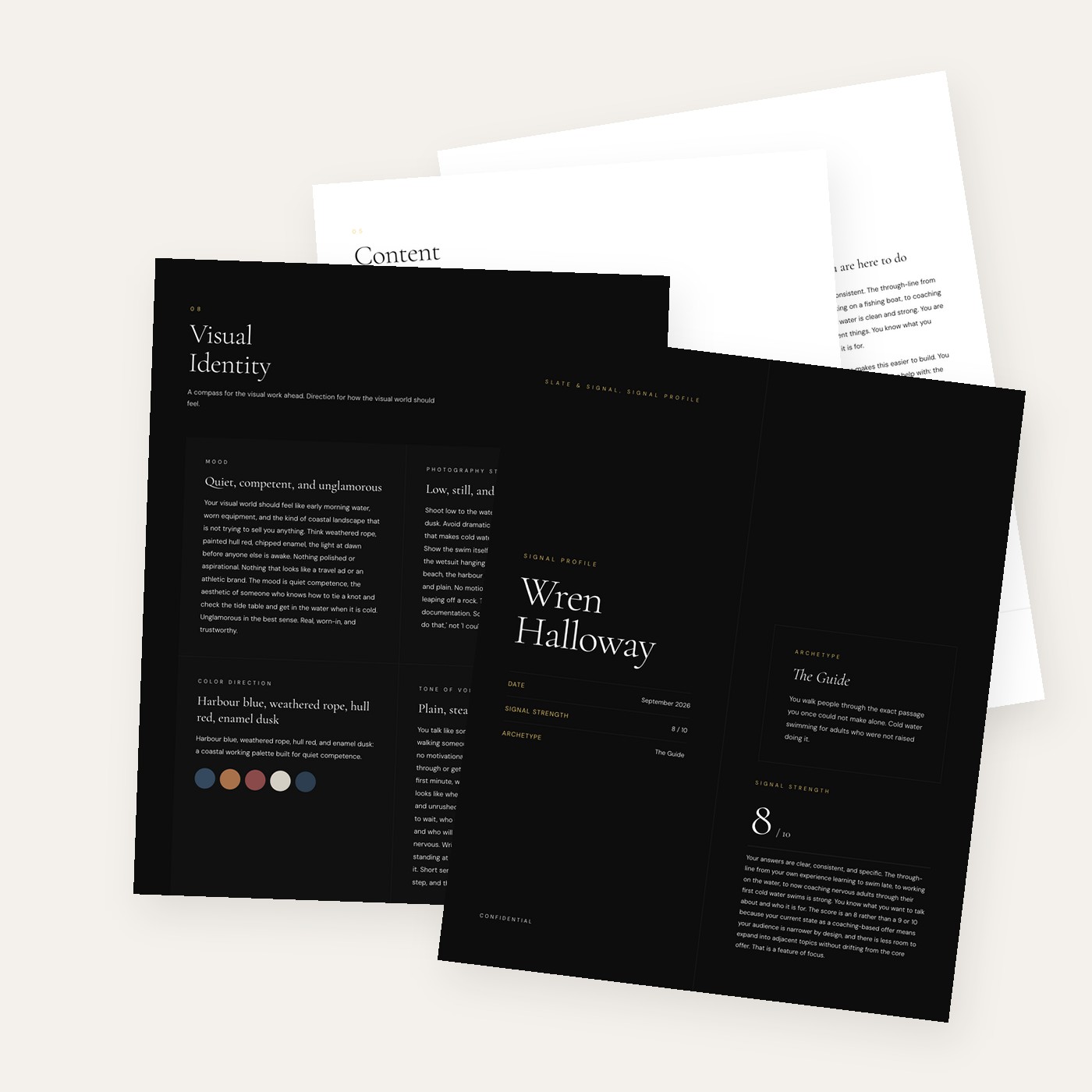 The Signal Profile Personal Brand Dossier - Slate & Signal